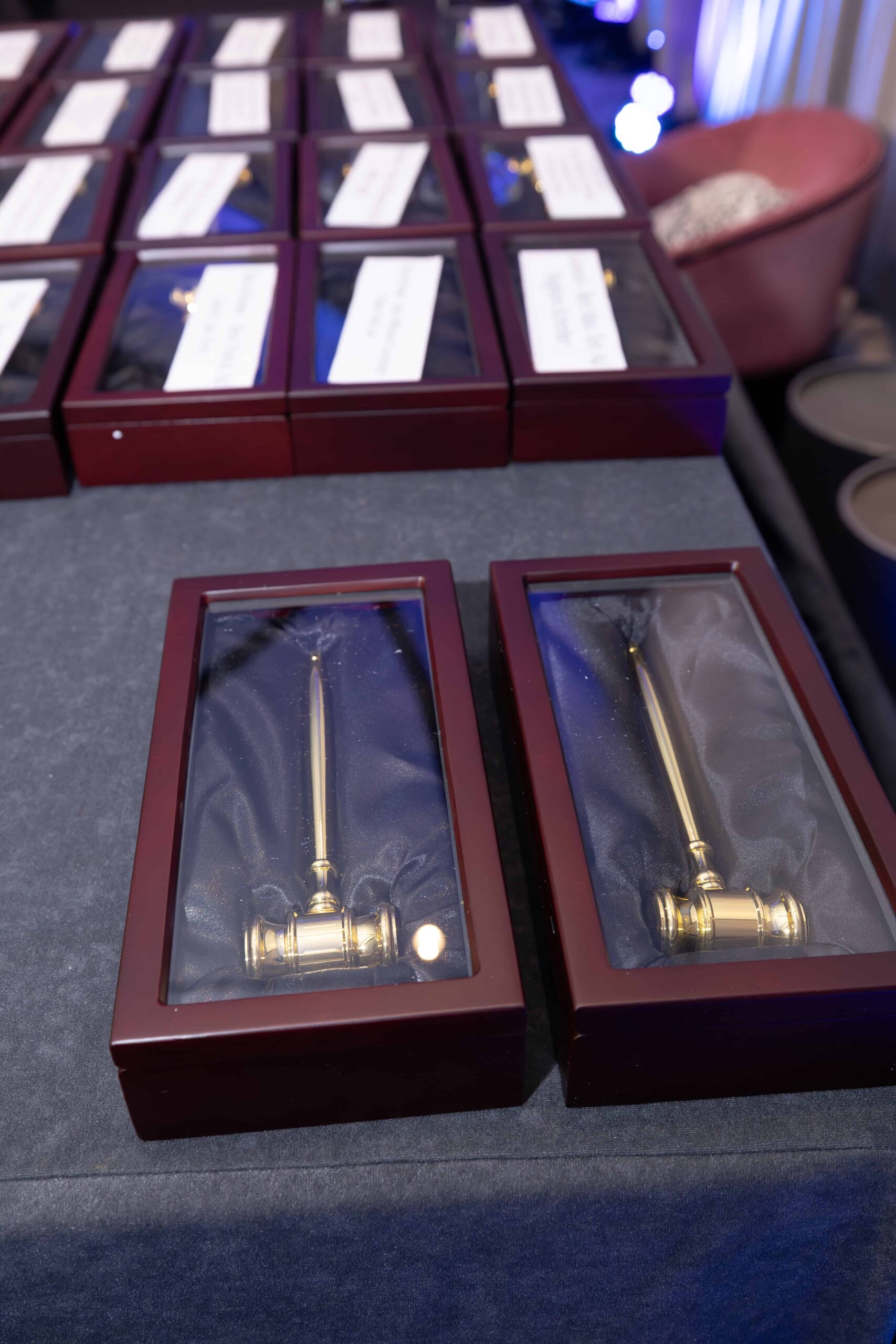 Golden Gavel Awards 2026 (82 of 275) (1)